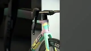 Special edition Paul Ripke Focus Izalco Max!😍🚲 what you think? #cycling #shorts #bikelover #sub