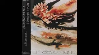 David Blonski With Synchestra - Timeless Flight (1983) FULL ALBUM { New Age, Ambient }