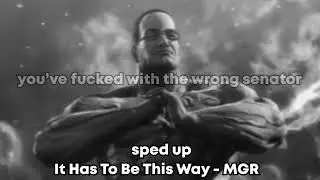 It Has To Be This Way from Metal Gear Rising (Sped up)