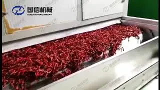 Super Large Chilli drying/Pepper drying machine/Hot Pepper Dryer working site.