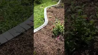 Pollinator bed breakdown