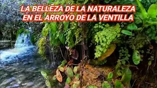 Senderismo para toda la familia, ruta fácil y de gran belleza.