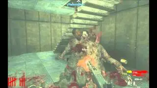 Call of Duty BearSex