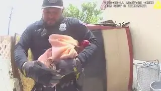 APD takes down illegal cockfighting operation