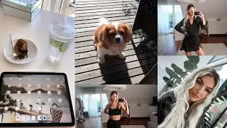 Lifeupdate + mini Shein Haul 🐶