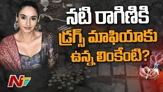 Special Focus On Sandalwood Drugs Racket | Karnataka Drugs Case| NTV