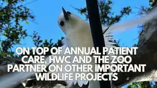 HWC Video for Honolulu Zoo