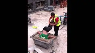 No horseplay on site