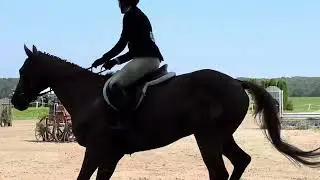 Jumping State College July 2025 Derby