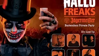 * * * Hallo Freaks Private Bartender Party * * *