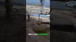 My First Real Coconut: Taste & Health Benefits! 🥥