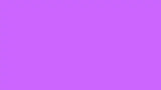 12Hrs of Solid Light Purple