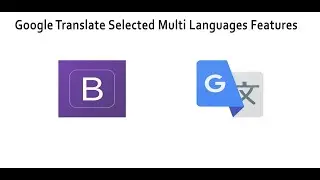 How to add selected multi languages Google Translate features on Website