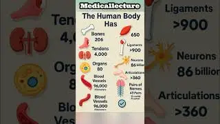 #medicaleducation #medicallearning #healtheducation #medicalknowledge #fscbiology #studywithme