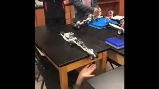 LSRV stem