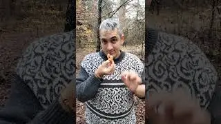 Laccaria laccata - Pillole di Micologia - Conoscere i Funghi con Giacomo Jack Isp.Micologo Nazionale