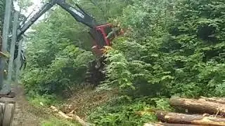 Timberpro TF830D Forwarder on steep ground