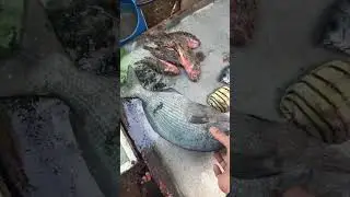 authentic seafood -food market asia