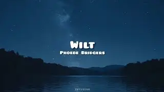 Wilt - Phoebe Bridgers (Guitar - Karaoke)