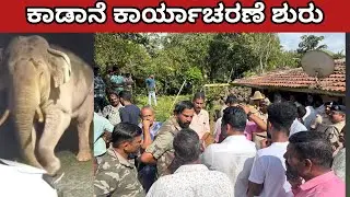 ಕಾಡಾನೆ ಕಾರ್ಯಾಚರಣೆ ಶುರು! ಶೃಂಗೇರಿ ಭಾಗ ಬಲಿ ಆದ ಕುಟುಂಬ ಮನೆ / wild elephant capture 