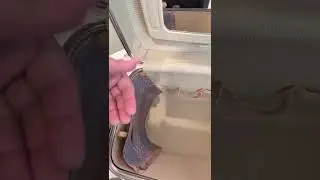 New lining on train case