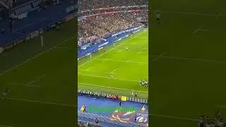 Cheslin Kolbe charge down! #rugbyfans #rugbyworldcup #springboks #rugby #gobokke