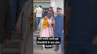 गोरी नागोरी अपनी हाई सिक्योरिटी के साथ दोसा पोहोची #gori_nagori #wedding #gori #gotri