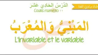 Tome 1 de Médine  - Leçon 11