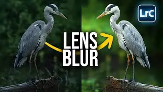How Lightrooms LENS BLUR makes Your Subject POP!
