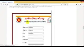 PSC Result Marksheet 2019 www.dpe.gov.bd