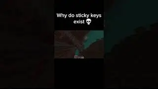 POV: Sticky Keys in Minecraft 😔