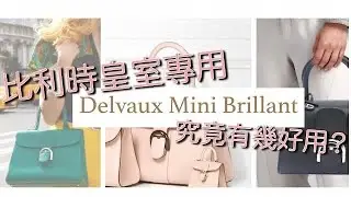 Delvuax 德爾沃 | Brillant mini | 奶茶色荔枝皮 | 媲美愛馬仕 | 十級推介的包包 | 包包分享Bag Review