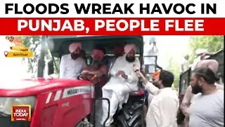 Punjab Floods: 1100 Villages Inundated, Opposition Leader Pratap Singh Bajwa Writes To PM Modi