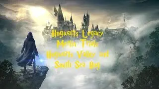 HOGWARTS LEGACY Merlin Trials WALKTHROUGH Hogwarts Valley and South Sea Bog