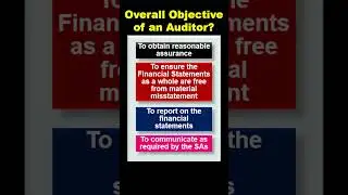 Overall Objective of An Auditor #shorts
