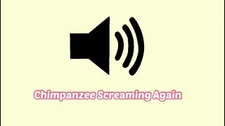 Monkey Screaming Again (Chimpanzee) Sound Effect