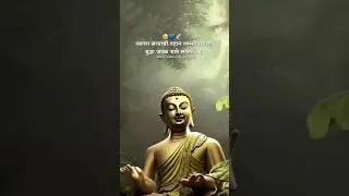 #shorts New Bauddha Status #shortsfeed #youtubeshorts #shortvideo #buddha #2023 #4k #563 #status
