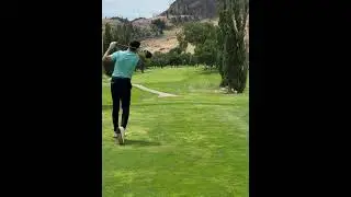 Golf ball accidentally hits bird in Osoyoos, Canada