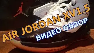 Кроссовки Air Jordan 16.5 (XV1.5) Team. Детальный обзор.