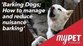 myPET Podcast: Barking Dogs; How to manage and reduce nuisance barking