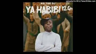 KG the DJ_-_Ya Habibi 12.0(Quantum Sound)