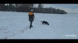 Globis erste Fährte bei Schnee, das Verweisen der Gegenstände sind wir noch am aufbauen, 3.1.2026