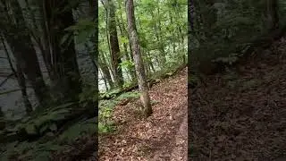 Laurel Lake KY hike 