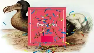 Dodo birds in less than 4 minutes 🦤