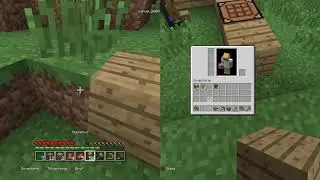 One life minecraft  serie