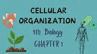 Cellular Organization Part-I | Chapter # 1 | Biology Class 9th