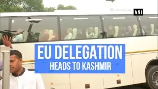 &lsquo;Want to see ground situation first hand&rsquo;: EU delegation on Kashmir visit