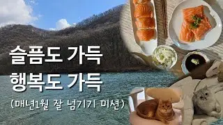 Sadness, happiness, love, and separation (Let's live cutely and funny!)