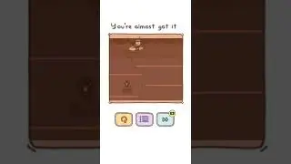 Thief Puzzle Level 55