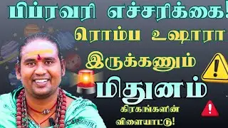 மிதுனம் பிப்ரவரி மாத எச்சரிக்கை! 🛑 ரொம்ப உஷாரா இருக்கணும் - கிரகங்களின் விளையாட்டு! #dailyrasipalan 